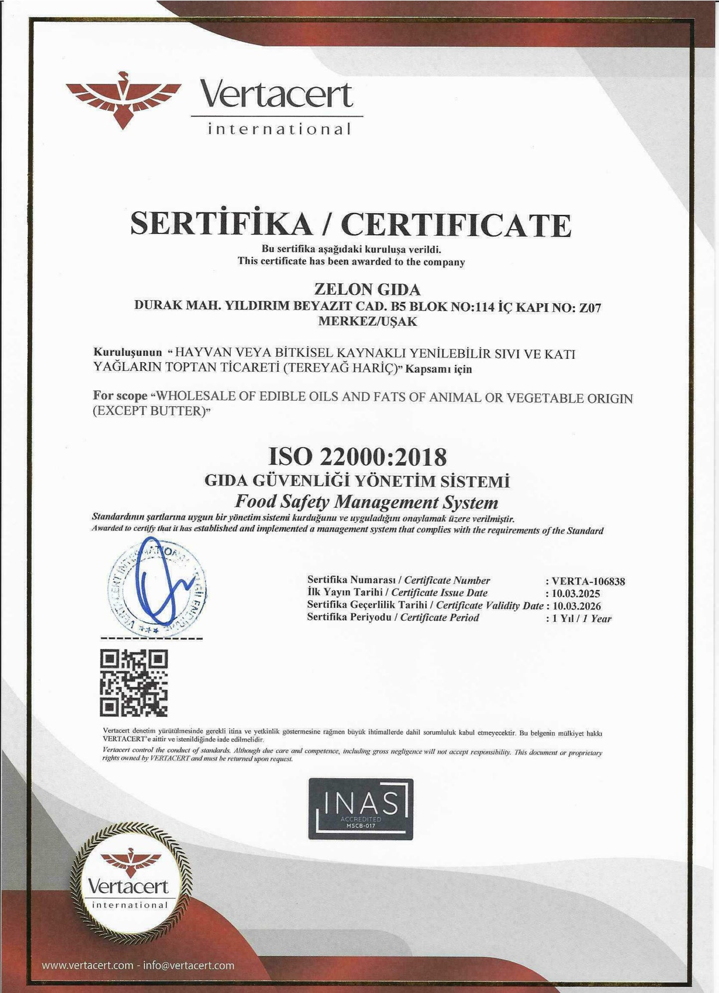 Büyük Kampanya! Taş Baskı Erken Hasat Premium Zeytinyağı | 1 L Cam Şişe – 9’lu Alımda Süper Fiyat