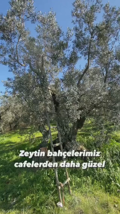 DEV KAMPANYA • Zeytinyağı, Tahin, Pekmez, Siyah Sele Zeytin